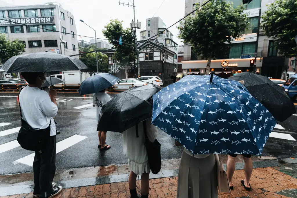 上海萨达见科技室内门锁与防盗门锁产品线全解析