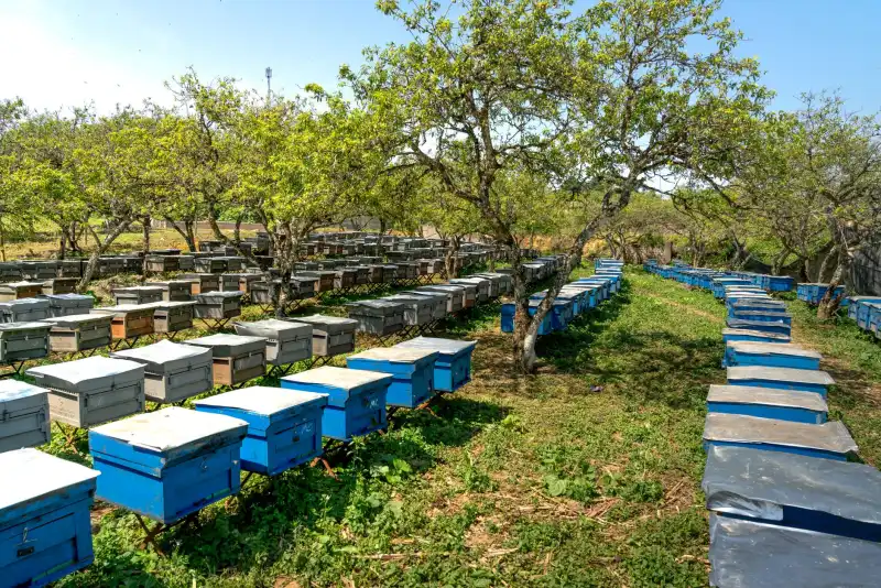 2025年智能门锁市场趋势:从指纹识别到多模态生物识别技术演进